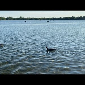 Meet your Posher, Jessie